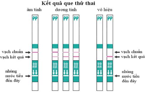 Cách Nhận Biết Que Thử Thai 2 Vạch
