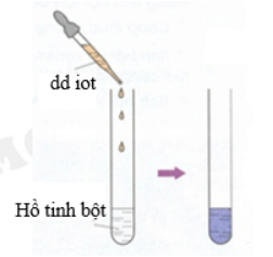 Cách Nhận Biết Tinh Bột