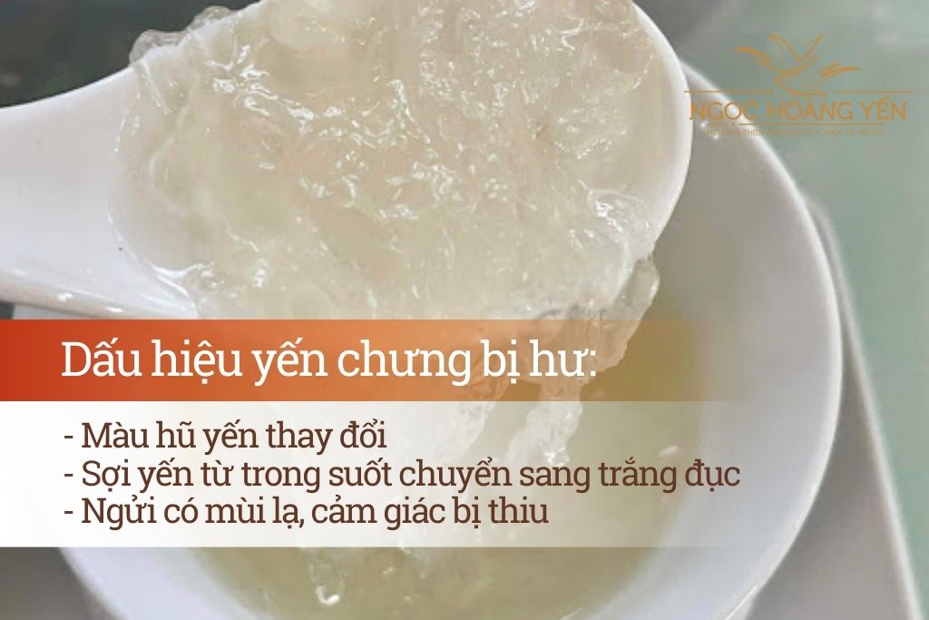 Cách Nhận Biết Yến Chưng Bị Hư