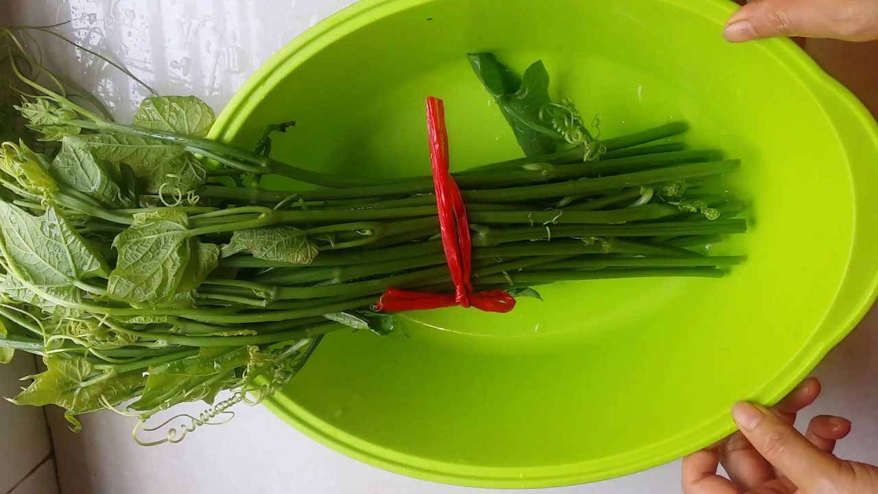 Cách Nhặt Ngọn Su Su Đơn Giản, Hiệu Quả