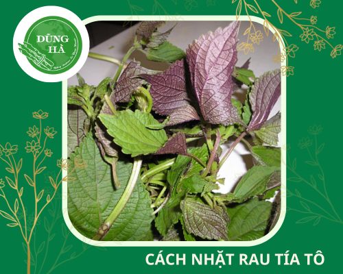 Cách Nhặt Rau Thơm