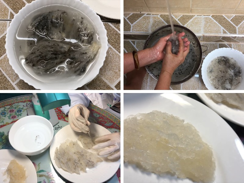 Cách Nhặt Tổ Yến