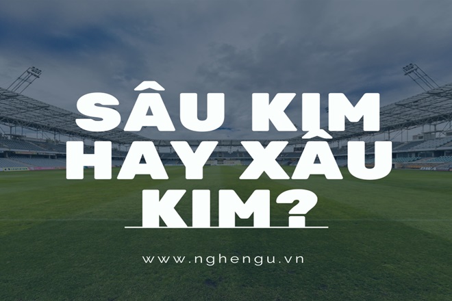 Sâu Kim Hay Xâu Kim? Gallery 2