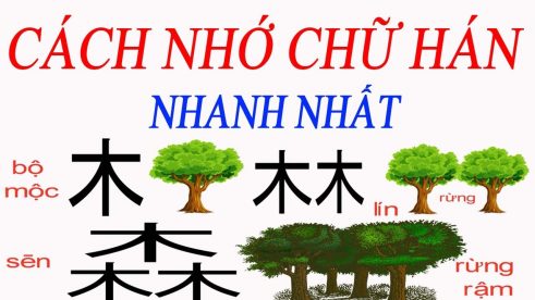 Cách Nhớ Chữ Hán Hiệu Quả Gallery 2