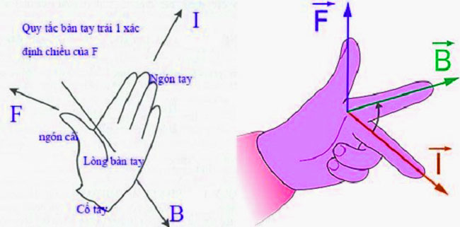 Quy tắc tay trái Gallery 2