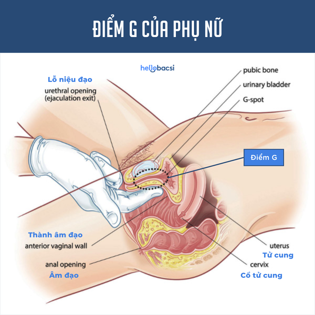 Cách Nhún Khi Quan Hệ Để Tăng Cường Hứng Thú Gallery 2