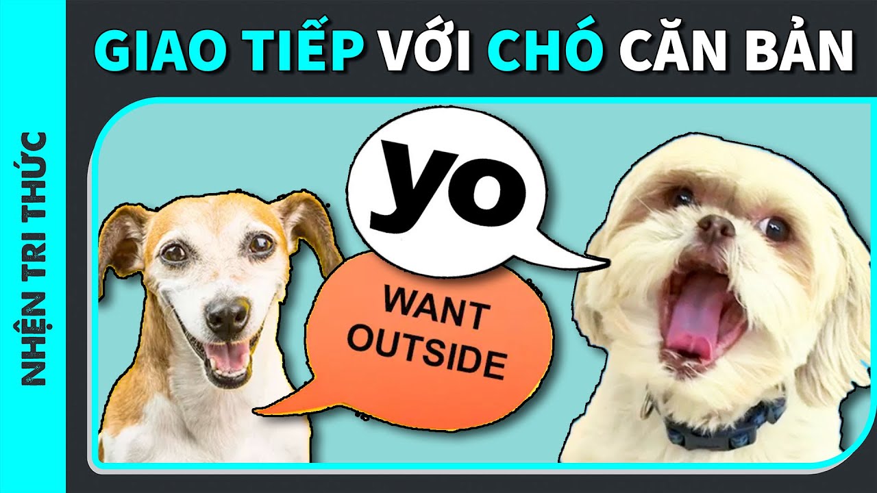 Cách Nói Chuyện Với Chó