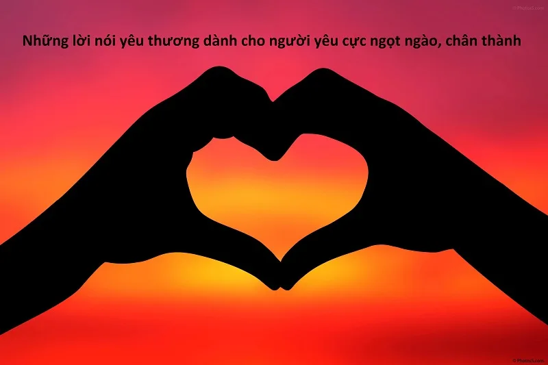 Hãy Nói Lời Yêu Gallery 2