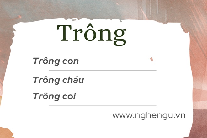 Trông hay Chông? Giải đáp thắc mắc về chính tả Gallery 2