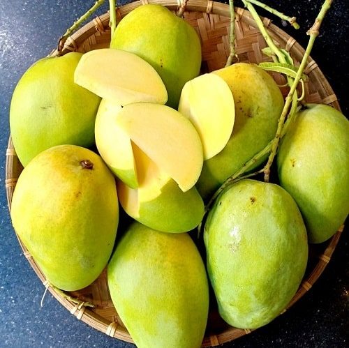 Xoài Tứ Quý Chua Hay Ngọt? Gallery 2