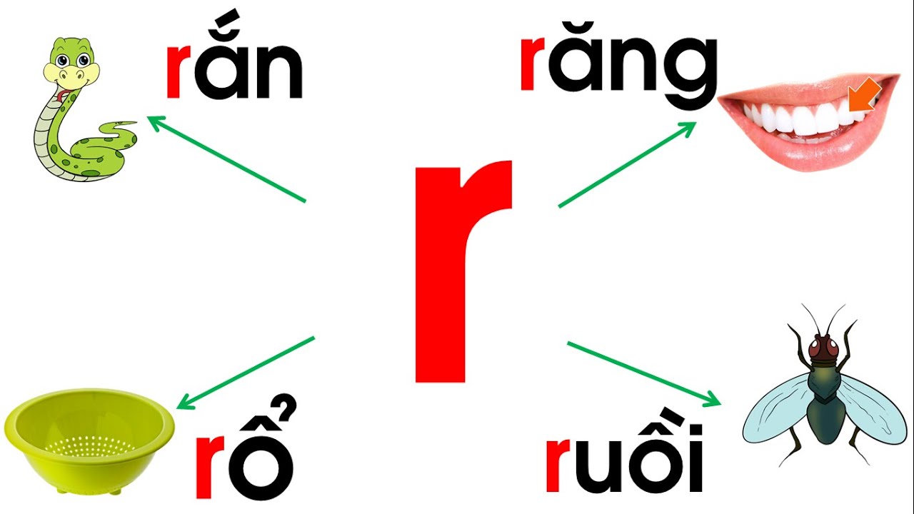 Cách Phát Âm Chữ R Trong Tiếng Việt