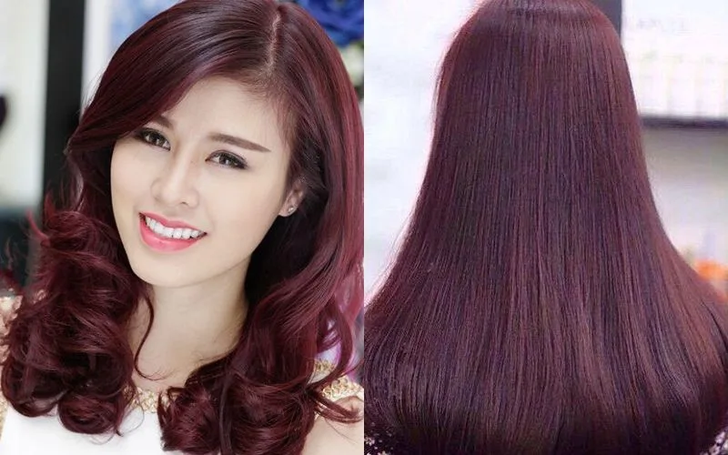 Màu Nâu Đỏ Ánh Tím Gallery 2