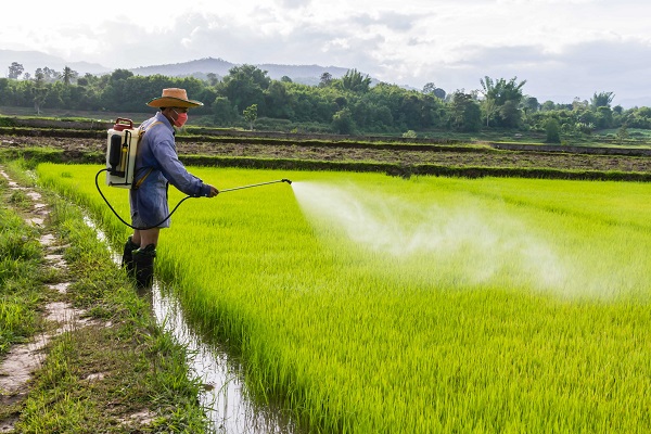 Cách Phun Thuốc Diệt Cỏ Hiệu Quả