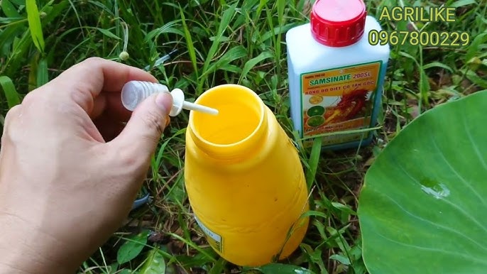 Cách Phun Thuốc Diệt Cỏ Hiệu Quả Gallery 2