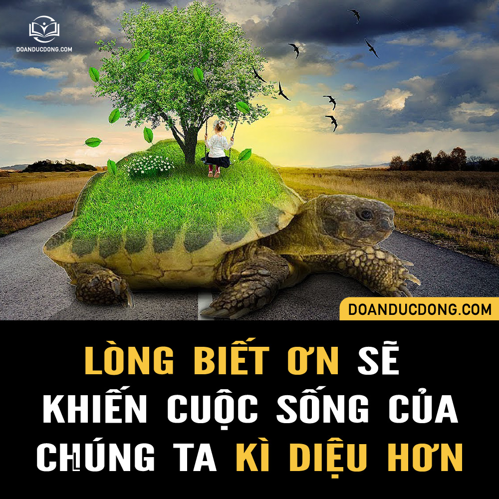 Sống với lòng biết ơn Gallery 2