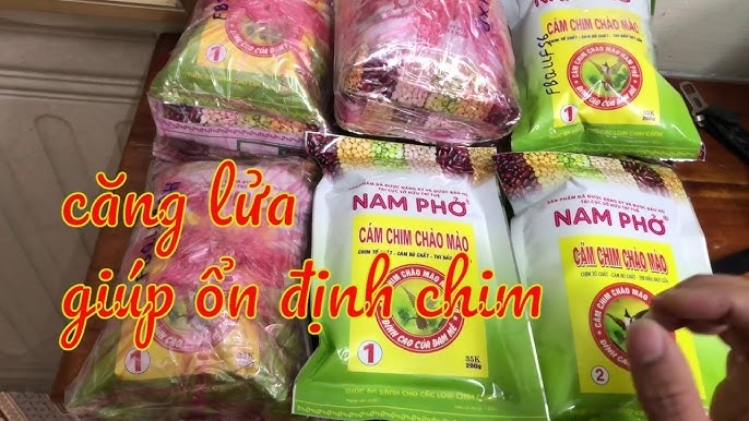 Cám Chào Mào Nam Phở - Bí quyết cho chú chào mào khỏe mạnh, giọng hót hay Gallery 2