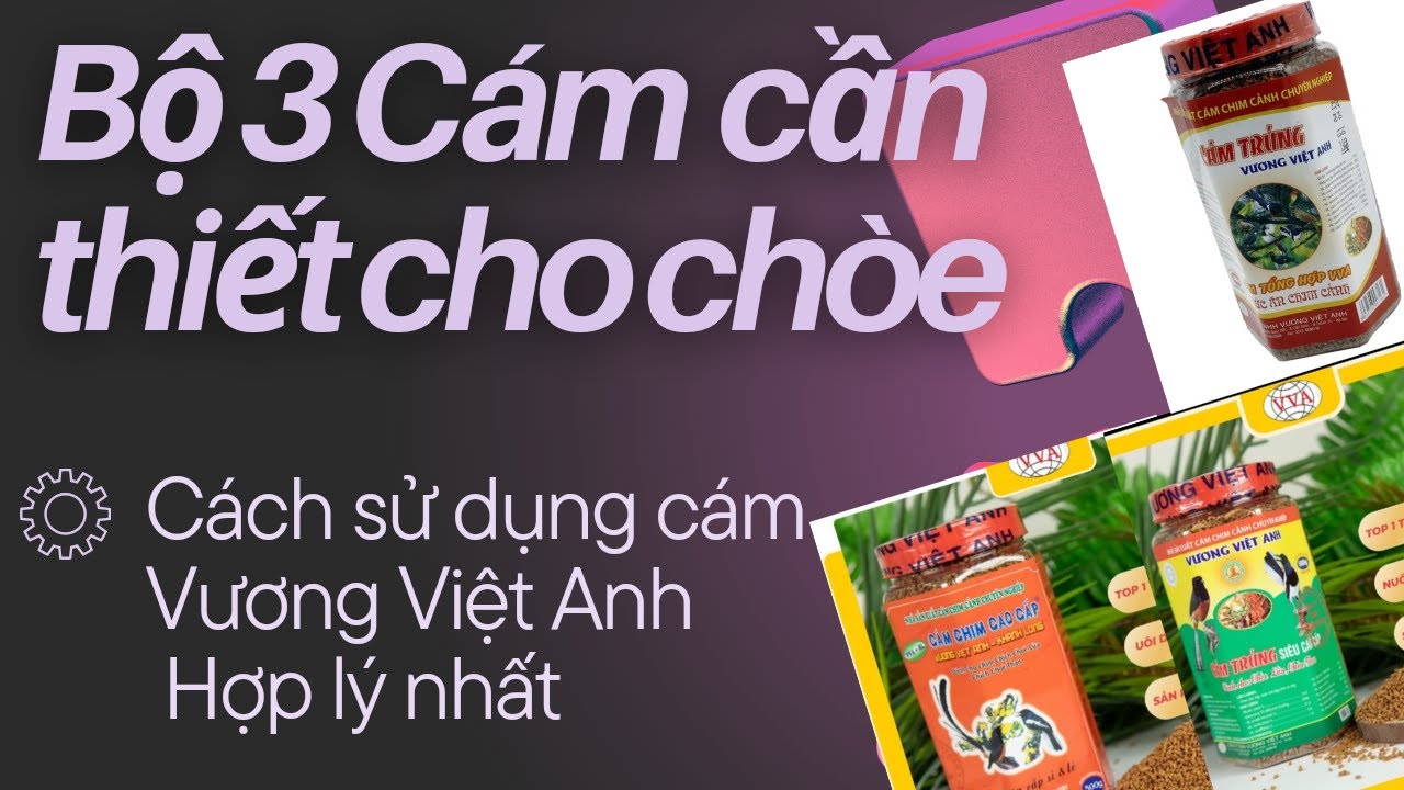 Cám Chim Vương Việt Anh - Thức Ăn Dinh Dưỡng Cho Chim Cảnh Gallery 2