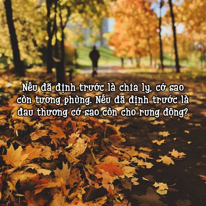 Chia ly hay chia li? Gallery 2