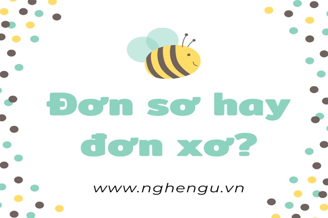 Đơn Sơ Hay Đơn Xơ? Gallery 2