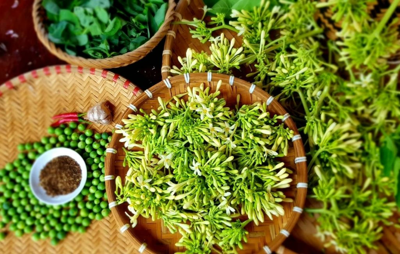 Đu đủ đực có tác dụng gì? Gallery 2