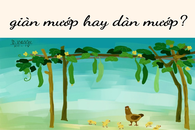 Giàn Mướp Hay Dàn Mướp? Gallery 2