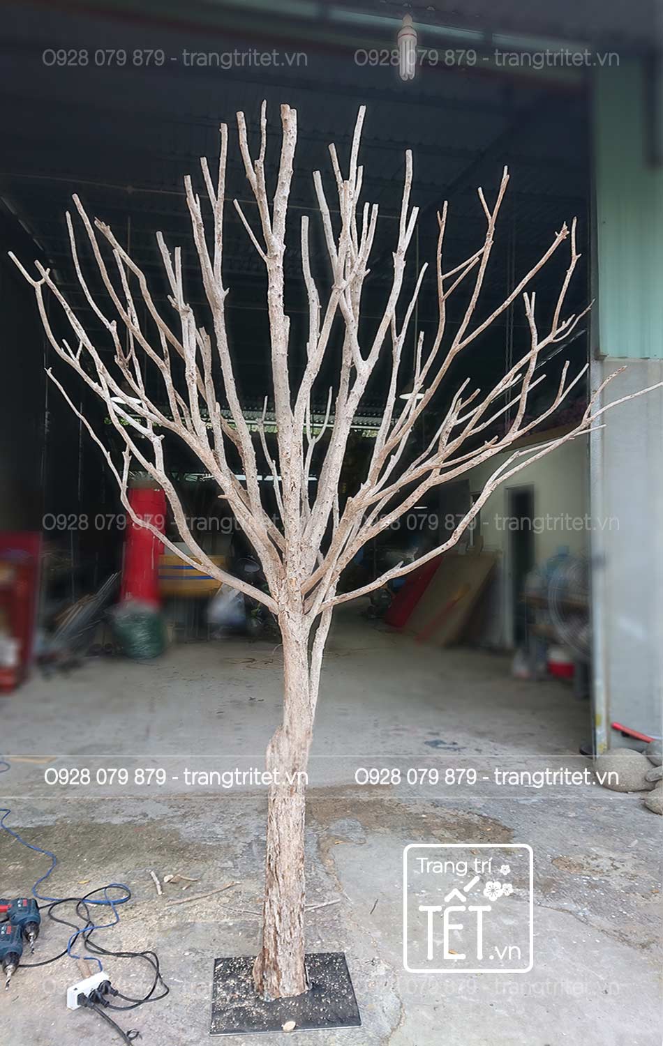 Gốc Cây Khô Làm Cảnh: Mang Vẻ Đẹp Hoang Dã Vào Không Gian Sống Gallery 2
