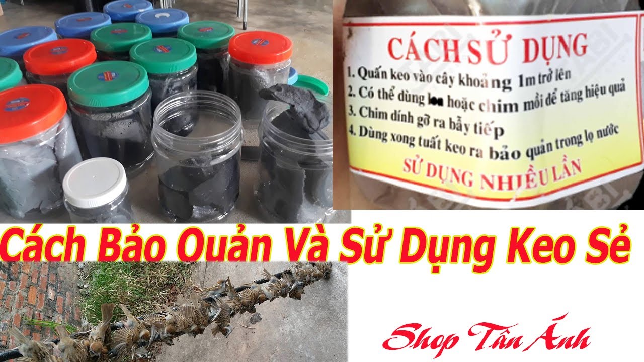 Keo Bẫy Chim Sẻ: Hướng Dẫn Sử Dụng An Toàn Và Hiệu Quả Gallery 1