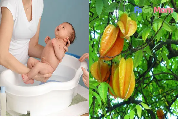 La khế ngọt có tắm được không? Gallery 2