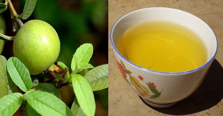 Trị tiêu chảy bằng lá ổi Gallery 1