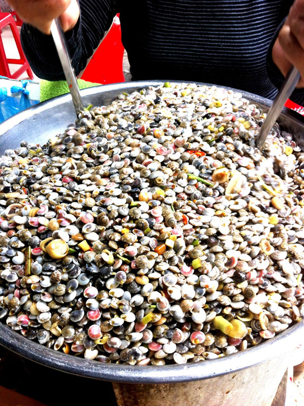 Lễ ốc hay Lễ ốc? Gallery 2