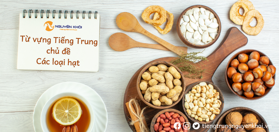 Hạt dẻ tiếng Trung là gì Gallery 1
