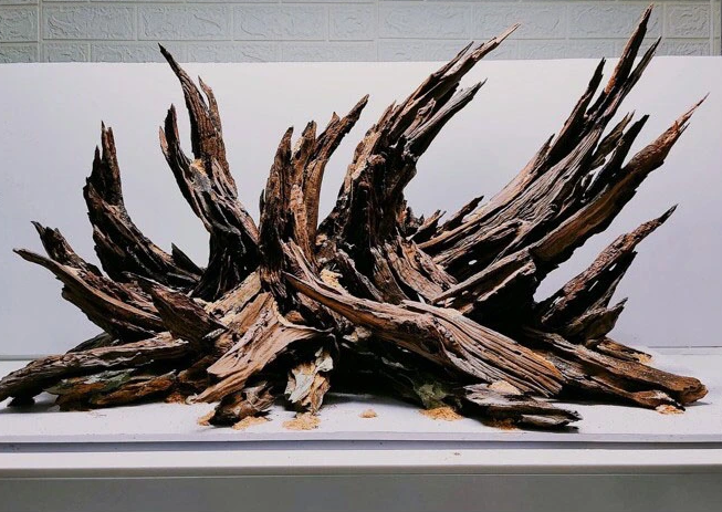 Lũa San Đá Cành: Bí quyết tạo điểm nhấn cho không gian sống của bạn Gallery 2