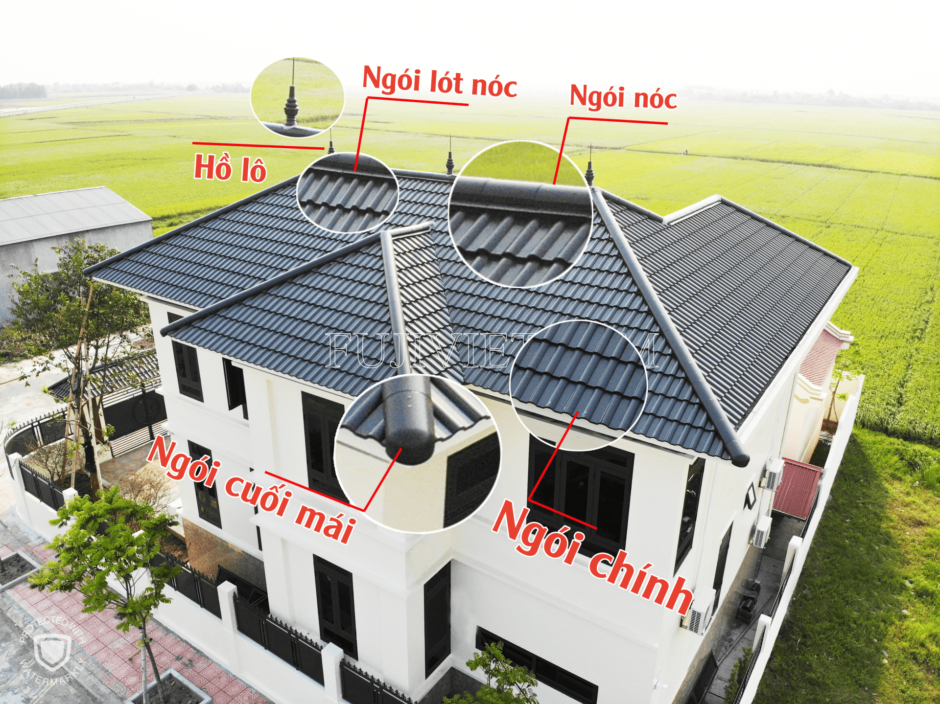 Mai một hay mai mọt? Gallery 2