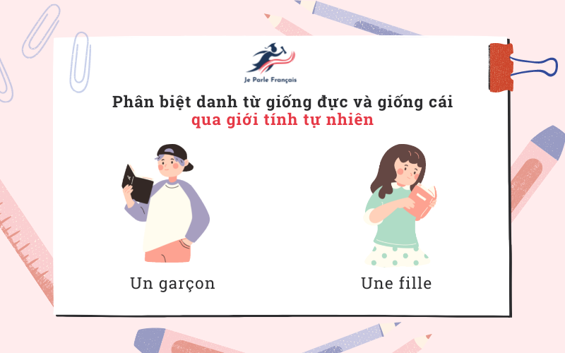 Giống đực giống cái trong tiếng Pháp Gallery 1