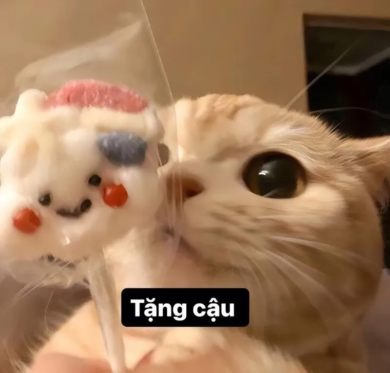 Meme Meof Là Gì? Gallery 2