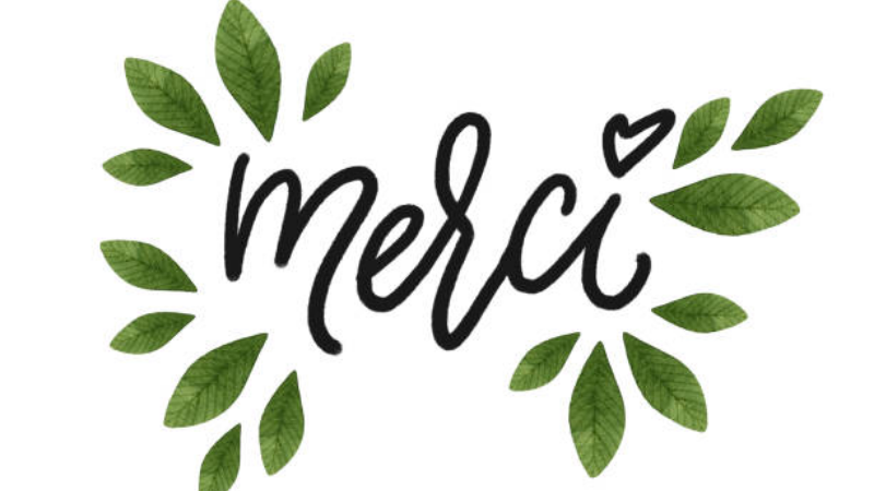 Merci Tiếng Pháp Nghĩa Là Gì? Gallery 1