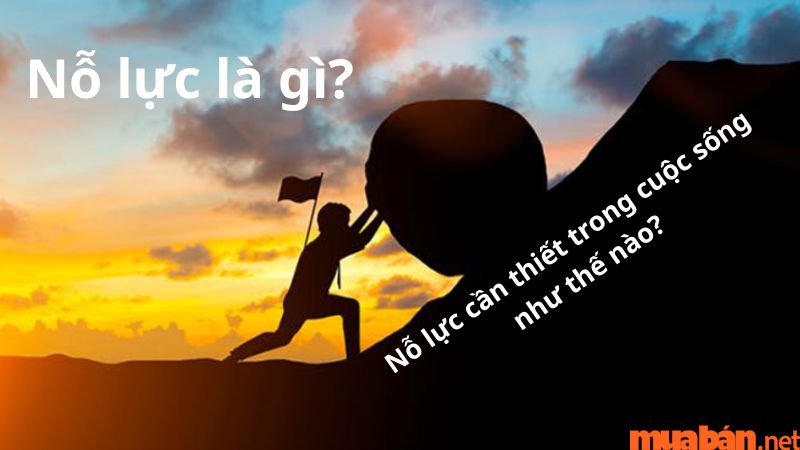 Nỗ lực hay nổ lực? Gallery 2