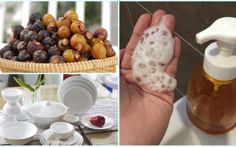 Nước Rửa Chén Bồ Hòn: An Toàn, Hiệu Quả và Thân Thiện Môi Trường Gallery 2