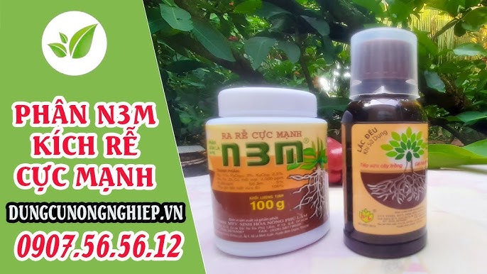 Phân bón kích rễ tốt nhất giúp cây trồng phát triển mạnh mẽ Gallery 2