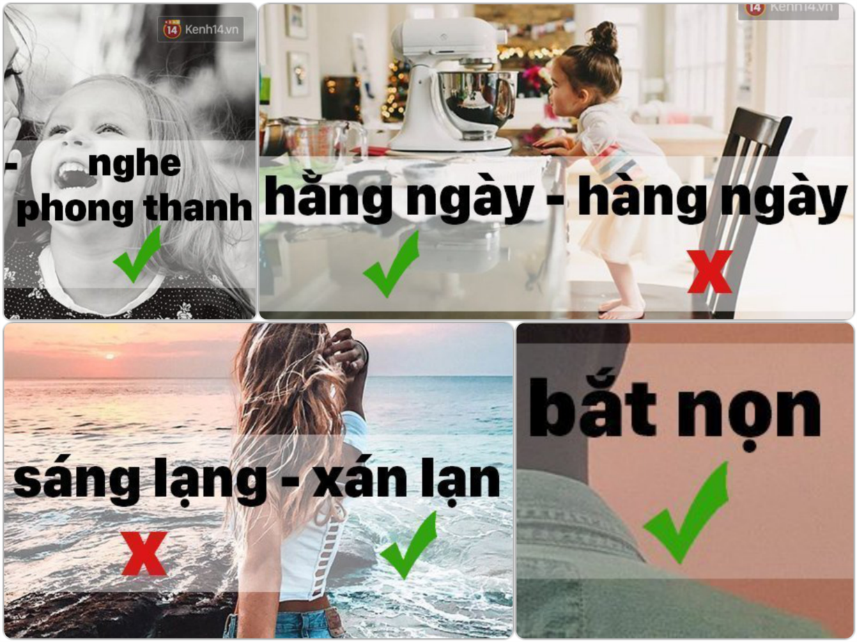Xán lạn hay Sáng lạng? Từ nào đúng? Gallery 2
