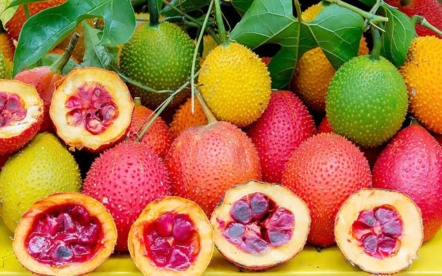 Cách Sử Dụng Quả Gấc Hiệu Quả Và An Toàn Gallery 2