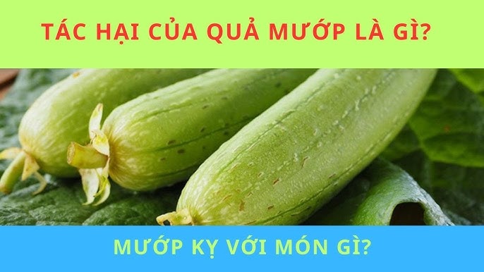 Tác hại của quả mướp Gallery 2