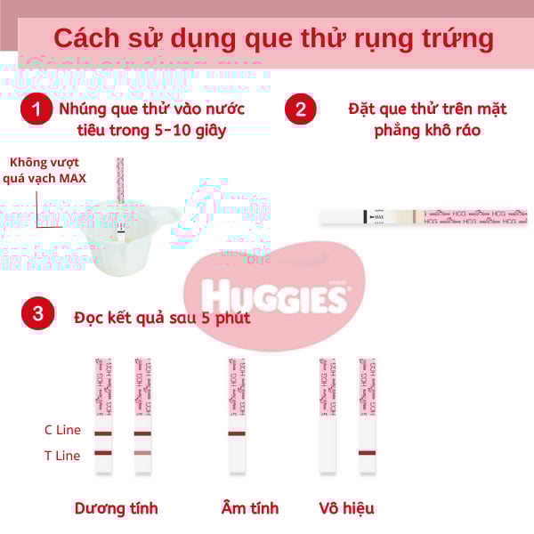 Que Thử Trứng Rụng: Hướng Dẫn Sử Dụng Và Những Điều Cần Biết Gallery 1