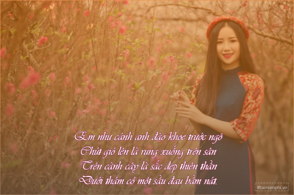 Status Hoa Đào Hài Hước: Cười Ngất Ngây Với Những Câu Chú Đắc Ý Gallery 2
