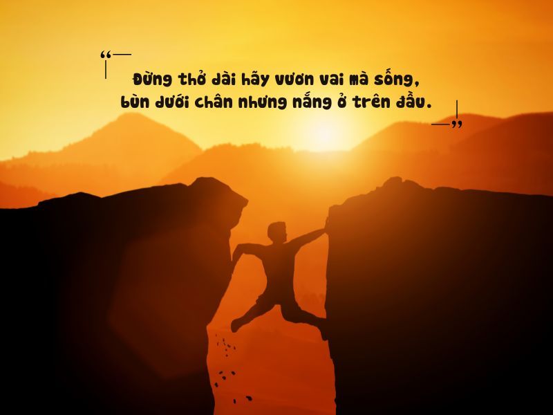 Những Status Hay Về Sự Cố Gắng: Cảm Hứng Cho Hành Trình Thành Công Gallery 2