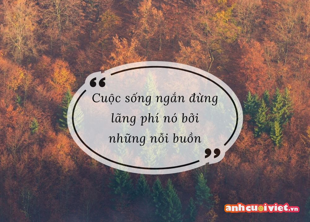 STT Ngắn Buồn Về Cuộc Sống - Tâm Sự Riêng Tư Gallery 2
