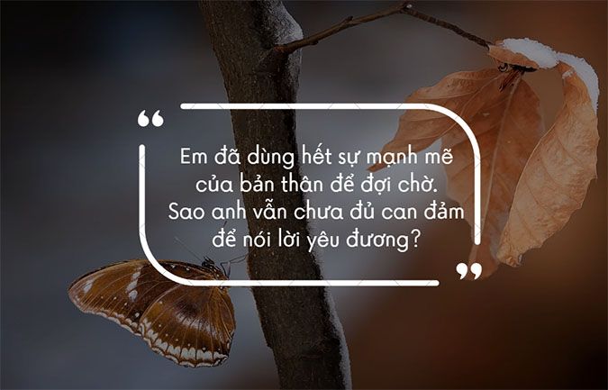 STT Sang Chảnh Ngắn - Thu hút mọi ánh nhìn Gallery 2