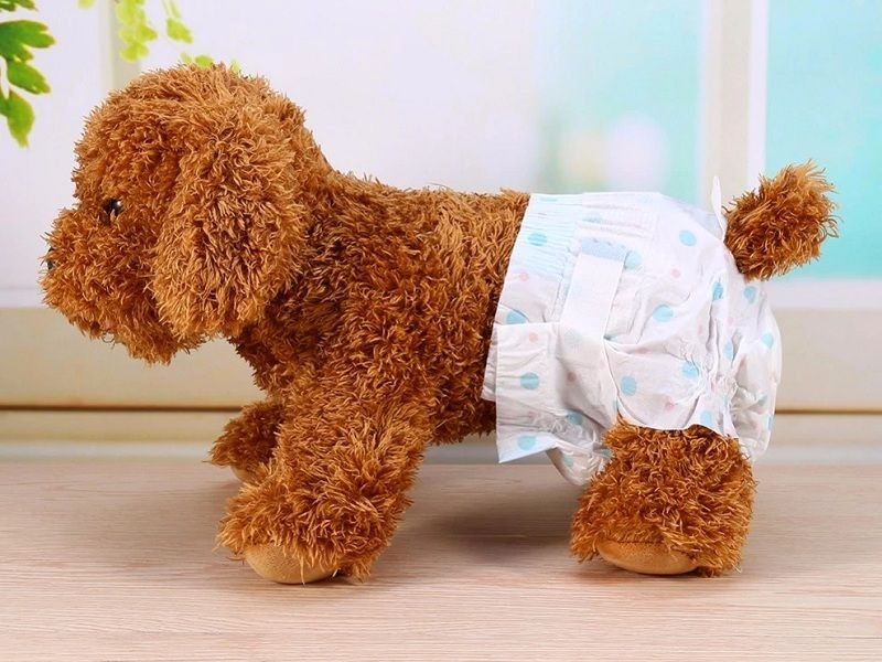 Tã Cho Chó Cái: Giữ Cho Chú Chó Cưng Luôn Khô Khỏ Và Sạch Sẽ Gallery 2