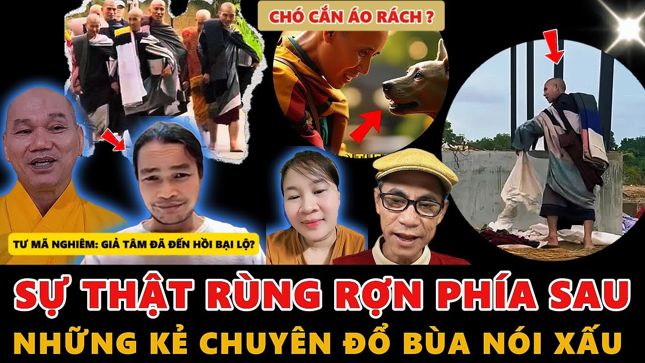 Chó cắn áo rách là gì? Gallery 2