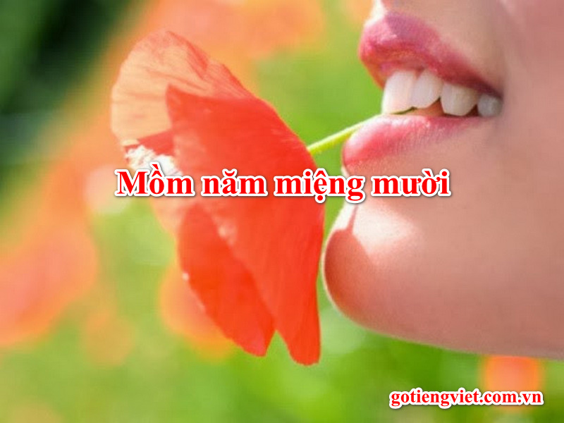 Mồm 5 Miệng 10 Là Gì? Giải Đáp Ngay! Gallery 1